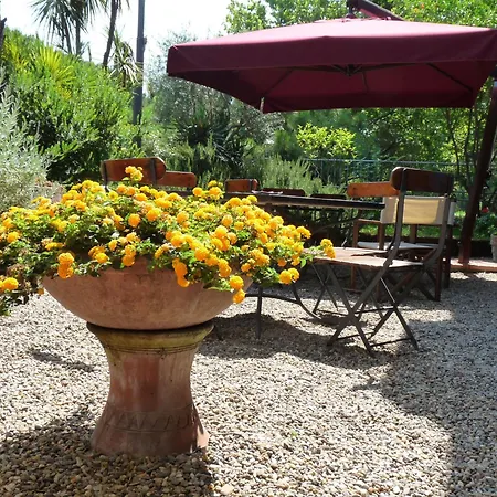 Morgana Hotel Marina Di Carrara